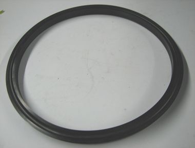 Piston Seal 10''